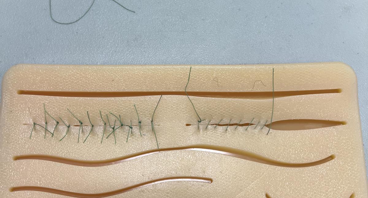 Simple interrupted and simple continuous sutures that I got to practice at one of the Pre-Vet club suture labs.