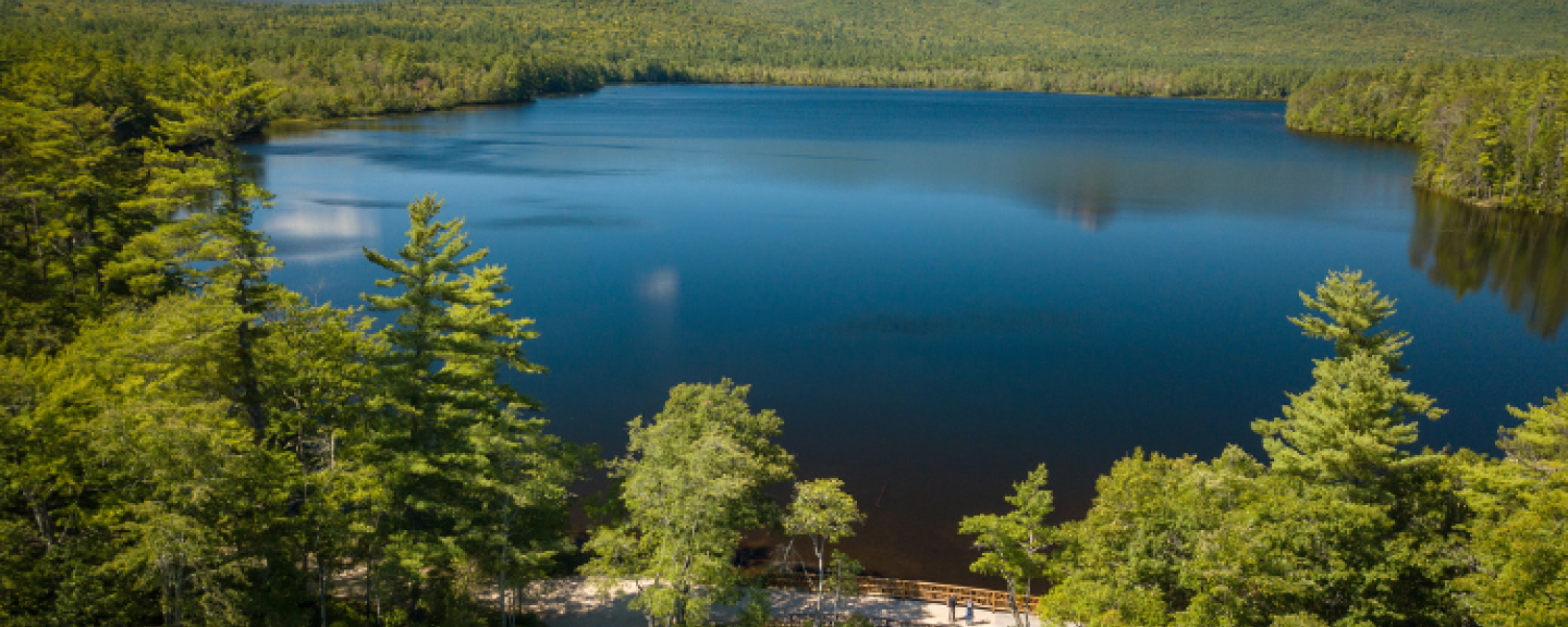 Aerial view of a lake or pond surrounded by green trees