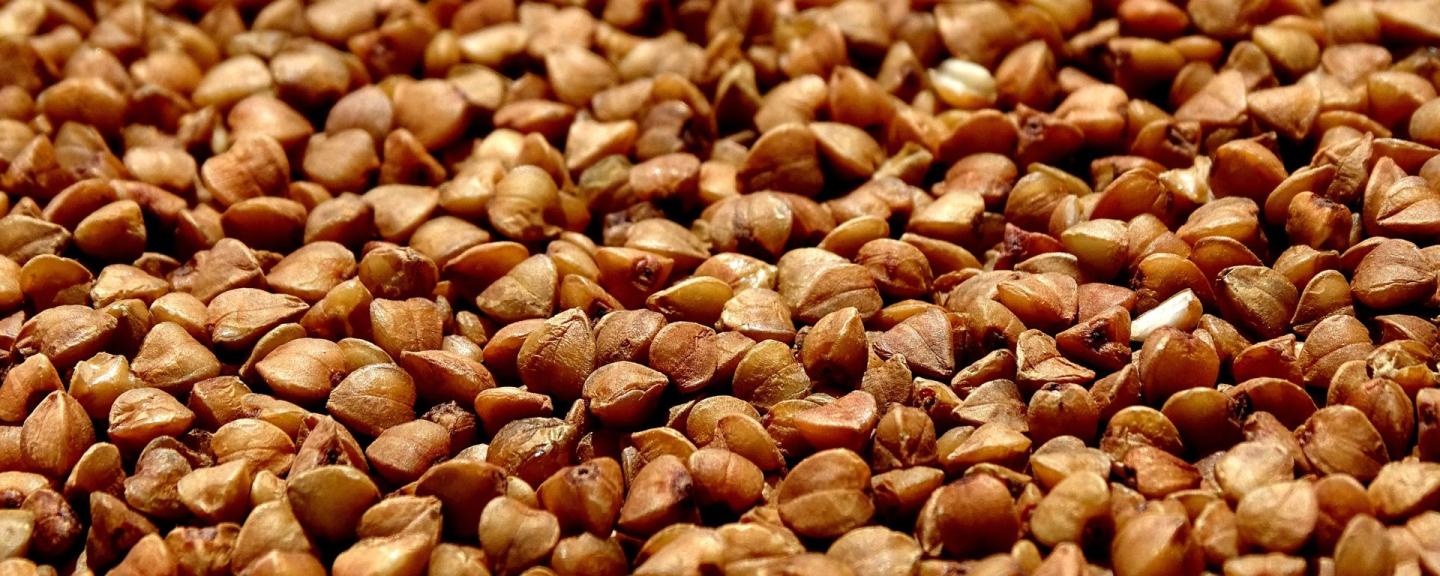 An image of tartary buckwheat seeds. Seeds are brown.