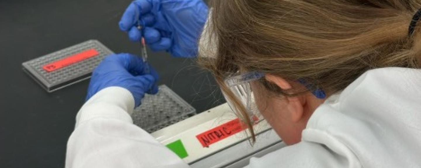 Me adding acid to my samples in the sedimentology wet lab.