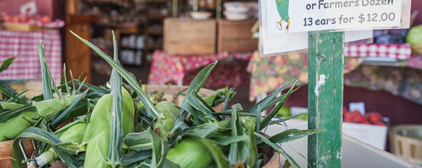 Corn for sale