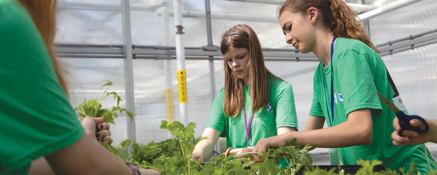 A group of girls work with plants in a greenhouse