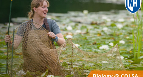 A thumbnail of a UNH biology student wading in a pond with a net