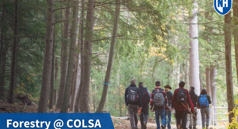 A thumbnail of forestry students in the UNH woods