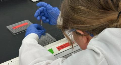 Me adding acid to my samples in the sedimentology wet lab.
