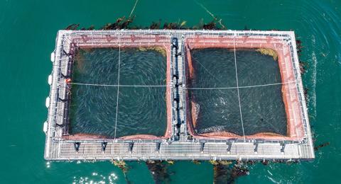 Aerial view of UNH's AquaFort, a self-contained aquaculture system