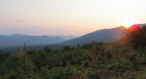 Scenic sunset view over Bartlett Experimental Forest, showcasing New Hampshire's diverse and thriving ecosystems.