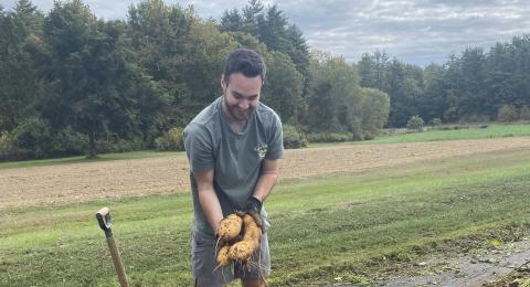 UNH student Braden Foulks holding sweet potatoes just harvested at UNH's Woodman Farm