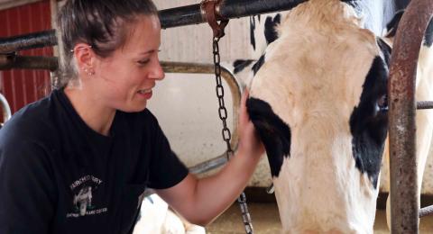 A photo of Rachel Dubanoski with a cow at Fairchild Dairy and Research Center