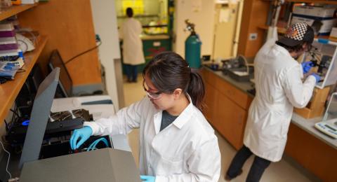UNH scientists conducting experiments on antifreeze proteins, unlocking their potential for medicine and agriculture.