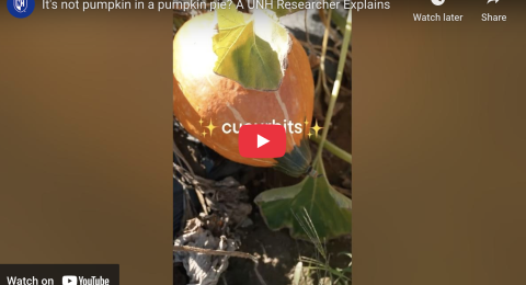 Youtube video thumbnail showing a pumpkin