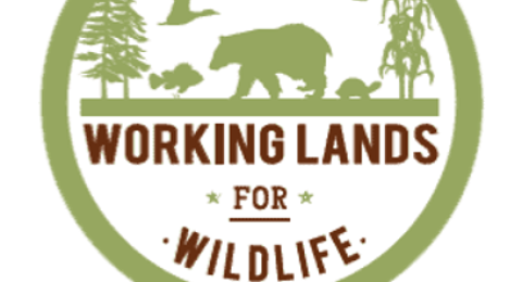 working lands for wildlife logo