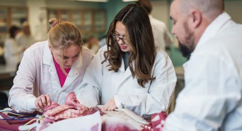 UNH students working with simulated cadaver