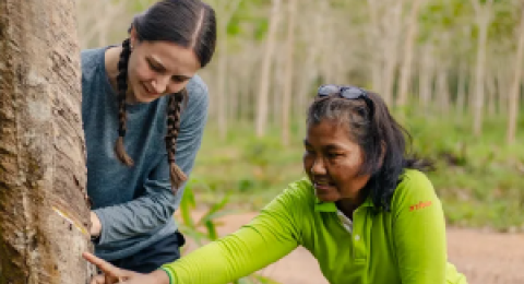 two people looking at a tree and pointing to a cut in the bark