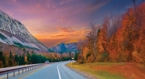 image of a road on the cliffside of a mountain surrounded by fall foliage