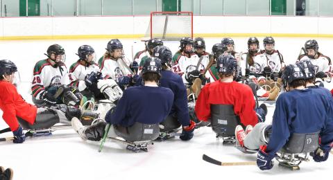 Hockey team trying sled hockey