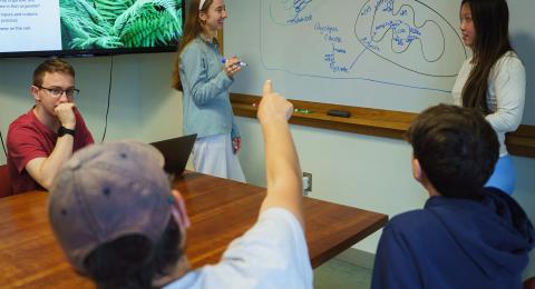 Five students in the Peer Led Team Learning program working together to solve a problem illustrated on a dry erase board