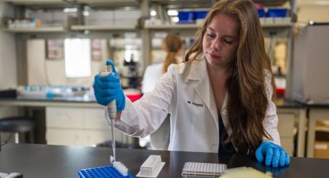 UNH undergraduate student Maggie Hayes conducting working in a lab during her researchon surveying skunk adenovirus-1 (SkAdV-1) in wildlife from the state of Maine.