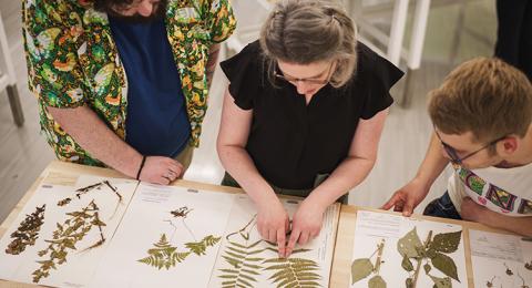 Overhead view of people examining specimens at the Hodgdon Herbarium