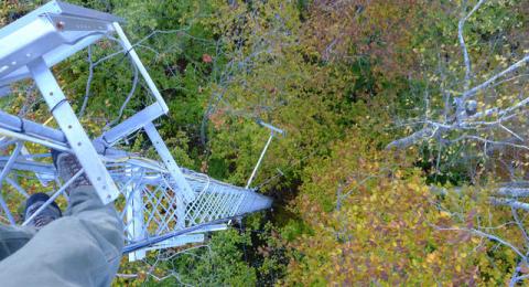 High above Bartlett Experimental Forest