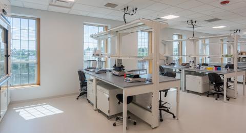 Image of lab space at the Biotechnology Innovation Center