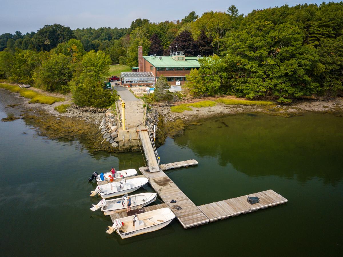 Jackson Estuarine Laboratory 