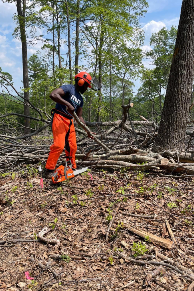 man moving branches on ground