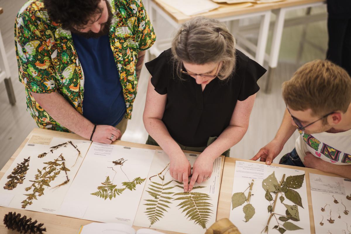 UNH students in herbarium 