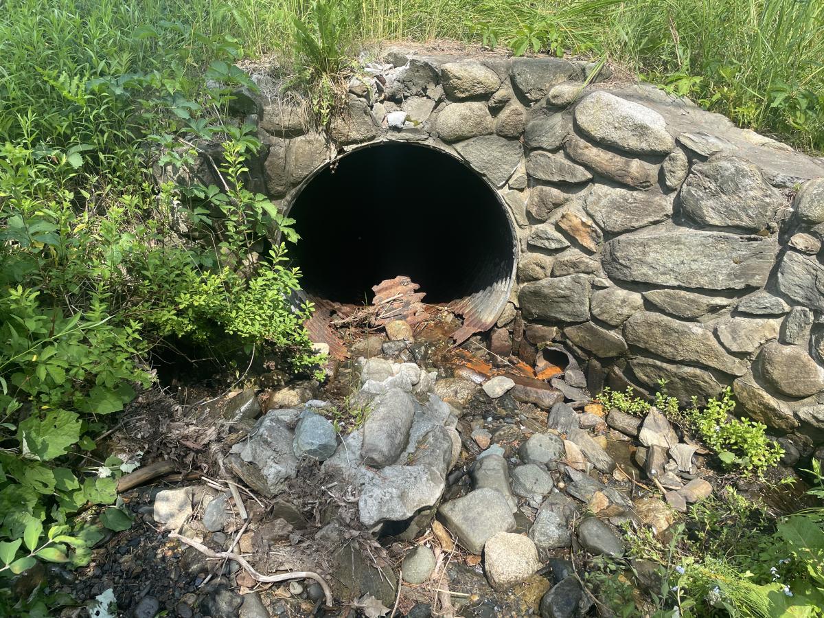 drainage area