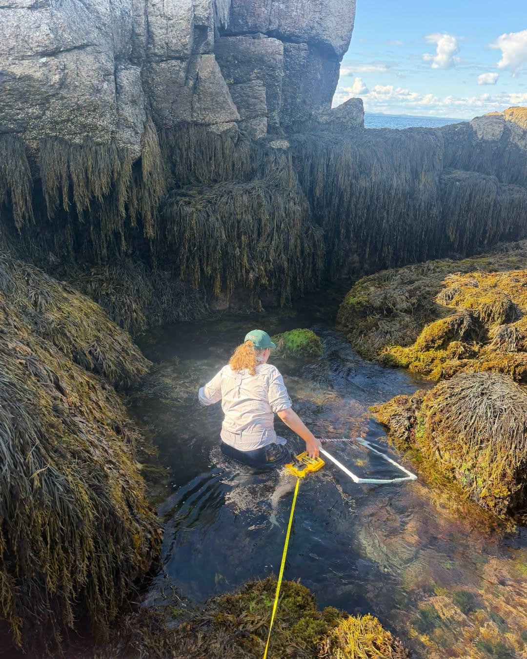 Melanie Carolan conducts research in shallow water