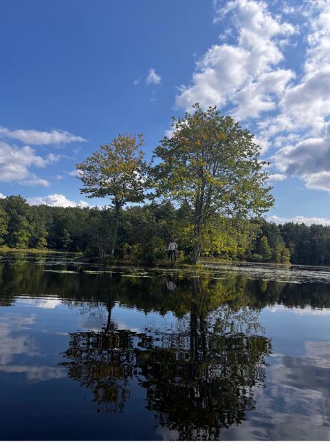 The pond I visited after the Undergraduate Research Conference. 