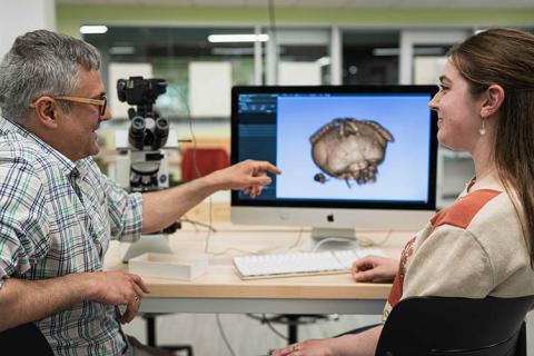 Istvan miko, holly hoag and the magnified head of a nasonia wasp.