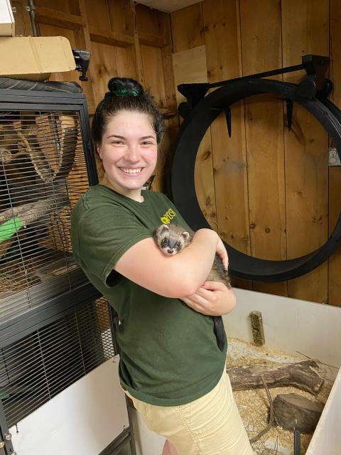 UNH animal science major Brienna Bohn holding a small animal during her  summer internship at Southwick's Zoo