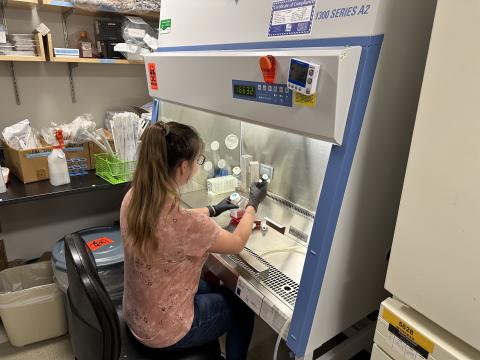 UNH student Nicole Benjamin '24