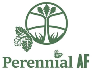 perennial AF logo