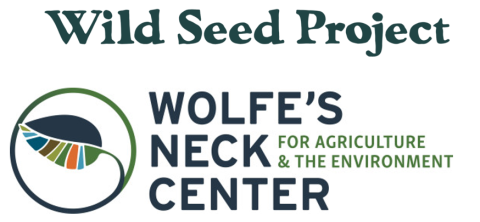 wild seed project - logo
