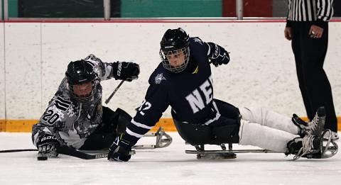 Two sled hockey players battle for the puck near the boards