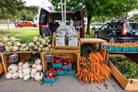 Vegetable stand