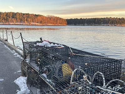 Oyster cages in winter