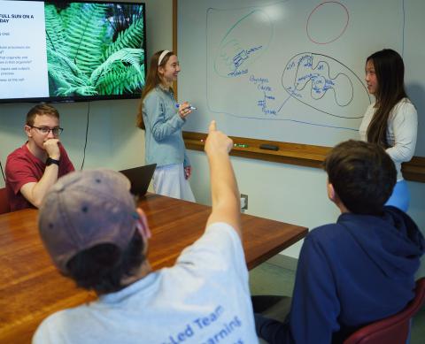 Five students in the Peer Led Team Learning program working together to solve a problem illustrated on a dry erase board
