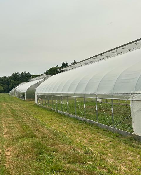 High Tunnels at the Woodman Horticultural Research Farm