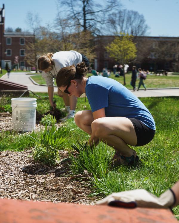 UNH students gardening