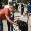 A man scratches a dog's chin as students move in to their dorm in the background
