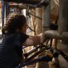 Researcher collecting colostrum from a dairy cow, highlighting its importance in calf immunity and health.