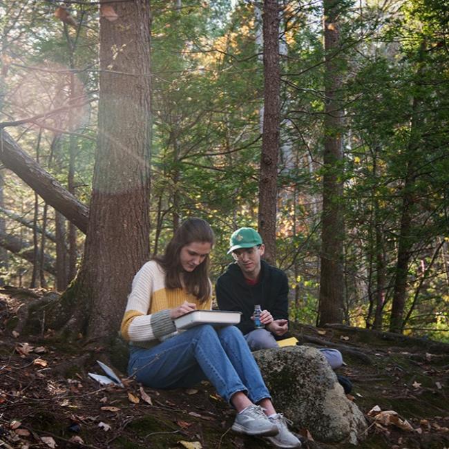 two students sitting underneath a tree