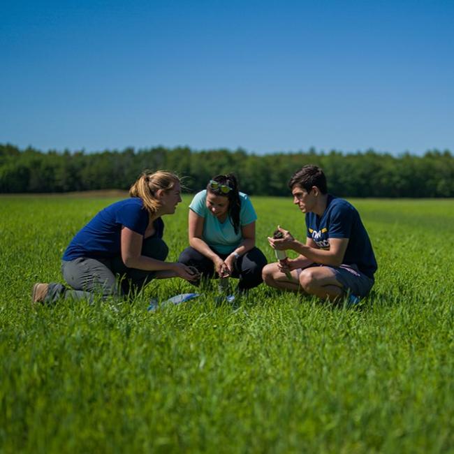 three students in a field