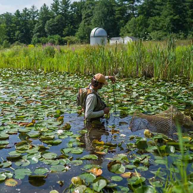 student catching turtles in a swamp